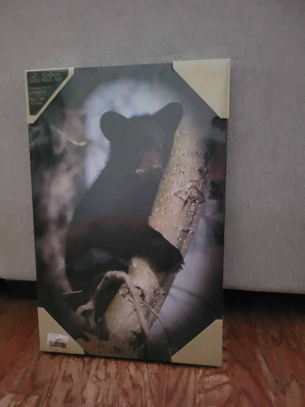 Gallery Wall Art Black Bear Cub Wall Decor - Unbranded